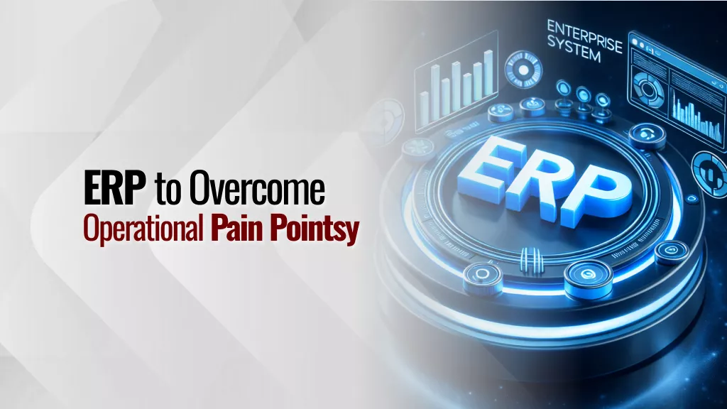 ERP untuk Mengatasi Pain Points Operasional