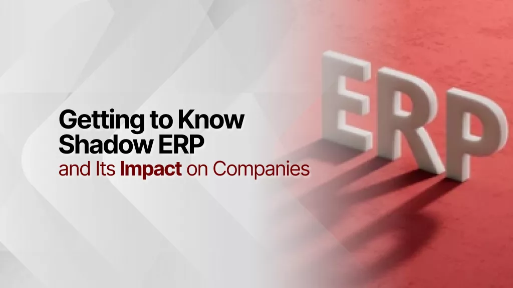 Mengenal Shadow ERP dan Dampaknya Bagi Perusahaan